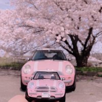 ❁Sakura❁ (@_pink__mini__) 's Twitter Profile