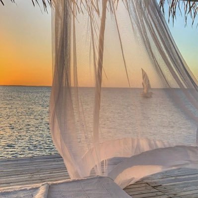 V2V_TWEETZER_FR's profile picture. 🇫🇷