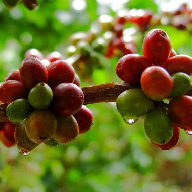 Vivie Mejor es Posible, especialmente si decides vivir en el Eje Cafetero! Enamorado de la vida en Pereira 💛❤️