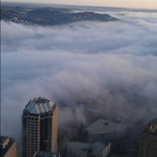 Mapod01's profile picture. I know for a fact the opposite of success isn't failure, it's quitting