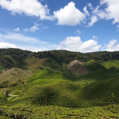 AhmedKhushal1's profile picture. Crypto & Financial Market