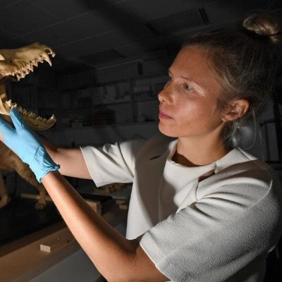 Evolutionary Morphology Lab at @uni_copenhagen, led by Assoc Prof Christy Hipsley. Bioimaging integrated with multiomics. Pictures of cool dead stuff💀