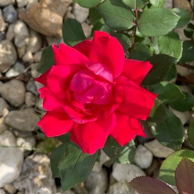 debtweets23's profile picture. “Tell the truth, or at least don’t lie.” JBP