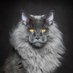 Zagabe Wesley (@nathanzagabewes) Twitter profile photo Zagabe Wesley (@nathanzagabewes) Twitter profile photo