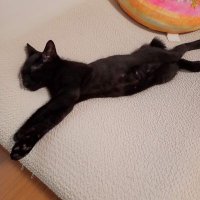 コウミ (@koumiu5) 's Twitter Profile