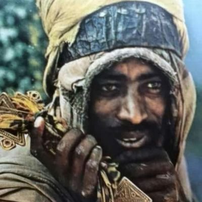 lldmisauro's profile picture. 