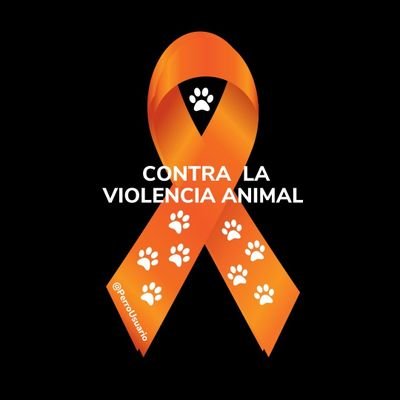 daniela_rocc's profile picture. 