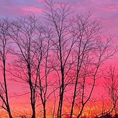 EmeryEmeryman's profile picture. playing with house money