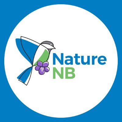 NatureNB Profile Picture