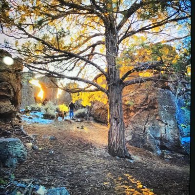 BuchenzoSe's profile picture. 