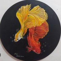 ماهی طلایی (@asalfelfeli) 's Twitter Profile