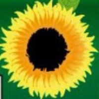 EcologicoGirasol(@EcologicoV) 's Twitter Profile Photo