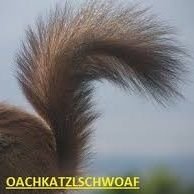 Oachkatzlschwoaf 🐿 (@obermeiermarco) 's Twitter Profile