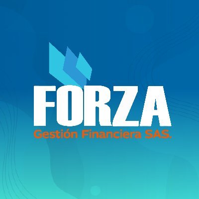 ForzaGestion Profile Picture
