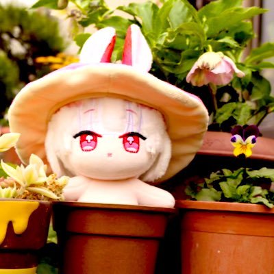 凸っとさんのプロフィール画像