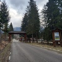CeahlăuDurău Travel (@ceahlauduraut) 's Twitter Profile