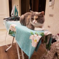 Sasha Borotyuk(💙,🧡) (@pogsays) 's Twitter Profile Photo Sasha Borotyuk(💙,🧡) (@pogsays) 's Twitter Profile Photo