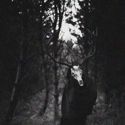 losttxsoul's profile picture. 