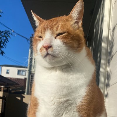 lush_carabiner's profile picture. 