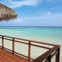 Roomoliina's profile picture. Founder of Techineer | Engineering Student @usc | Los Angeles, California📍