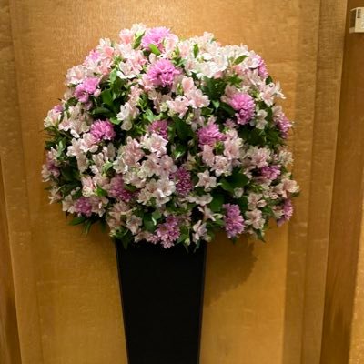neroli2024's profile picture. スポーツ観戦