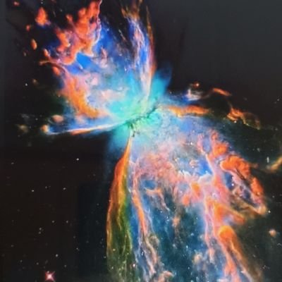 ThomasPesonen's profile picture. made in the U.S.A