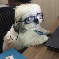 체크 (@check219puppy) 's Twitter Profile Photo 체크 (@check219puppy) 's Twitter Profile Photo