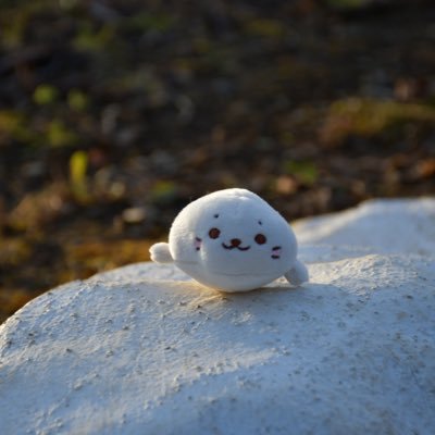 sesengineer_'s profile picture. 資格:SG CCNP LPIC1        勉強中→情報処理安全確保支援士