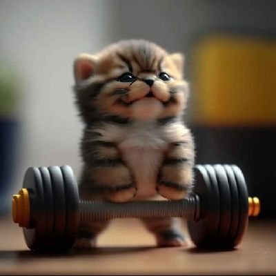 Tyce68821757's profile picture. Dad, fitness enthusiast and a Peace and Conflict Studies major  minor in Disaster and Risk Management