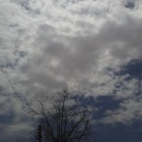 رحيقو🍯🖤 (@r7eeqoo) 's Twitter Profile