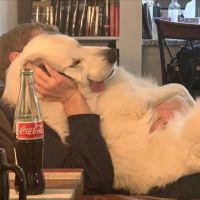 Youth wasted on the young