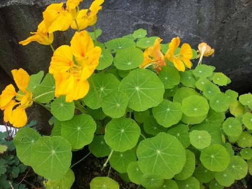 wldudrla88's profile picture. 골프/승마/여행/명품/시사/수다/맛자랑