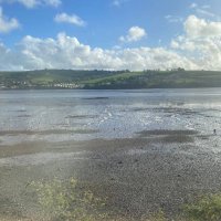 XRTeignbridge (@xrteignbridge) 's Twitter Profile