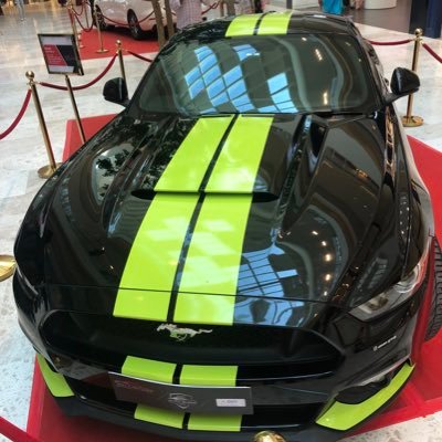 SiyadhV's profile picture. 