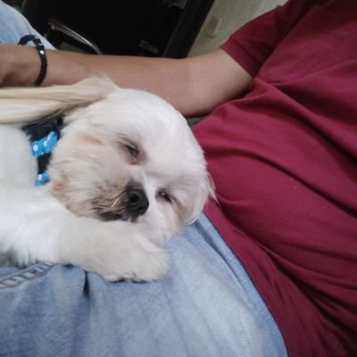 alfonsosolano's profile picture. 