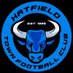 Hatfield Town FC (@hatfieldtownfc) Twitter profile photo Hatfield Town FC (@hatfieldtownfc) Twitter profile photo