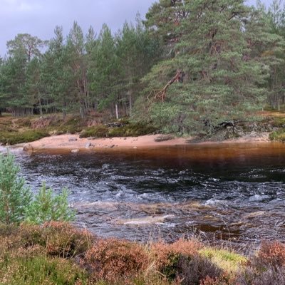 HomelessVoyager's profile picture. 