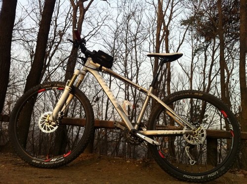 estdragon's profile picture. Porche virus