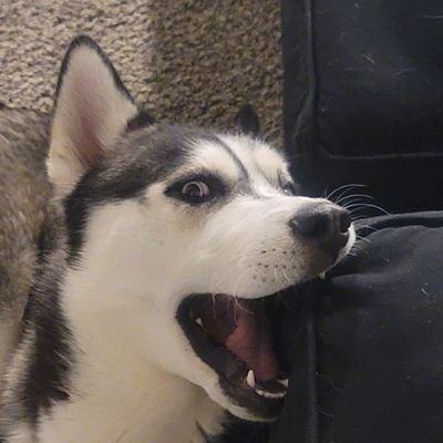 Multi game Streamer - follow along! Be advised explicit language and content ⚠️