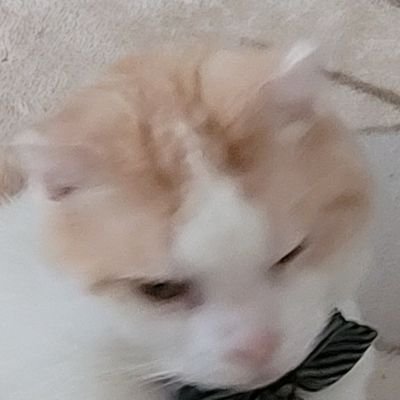 Tideさんのプロフィール画像