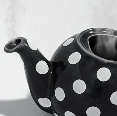 OnlyTeapots's profile picture. Creating "steamy" content since 2023