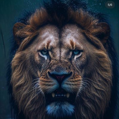 Adetomiwa0's profile picture. future life coach , free spirited, Avid Reader and thinker ,