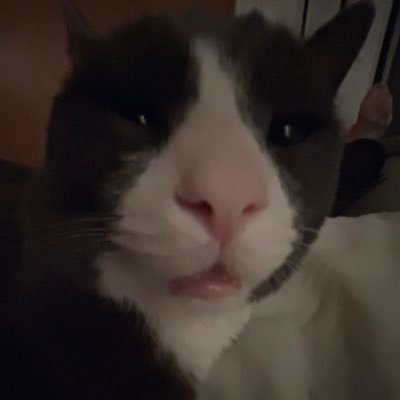 brbrbryna's profile picture. 22