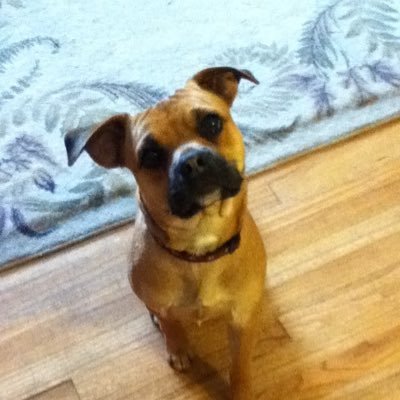 jhloz's profile picture. Hope is a good thing, and good things never die. Husband, father, 🇲🇽CHICANO🇺🇲, educator, Lakers 4life #Lakeshow #17🏆, FC BARCA!!! #Dodgers