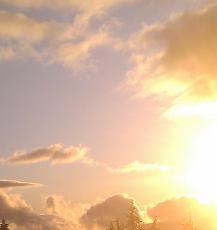 Cloud computing and information technology.