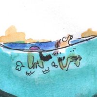 en cesure (@en_cesure) 's Twitter Profile