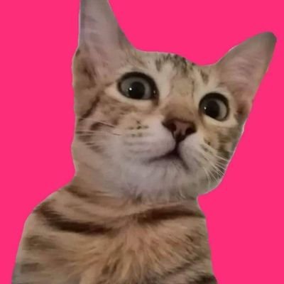 ydsvnfld1's profile picture. 𝓽𝓸 𝓼𝓮𝓵𝓯 𝓲𝓶𝓹𝓻𝓸𝓿𝓮𝓶𝓮𝓷𝓽 🥂✨