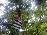 Sou apenas um viajante no meio do tempo sem saber se amor e ódio andam lado a lado.