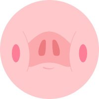 Solow 🐽(@solowcripto) 's Twitter Profile Photo