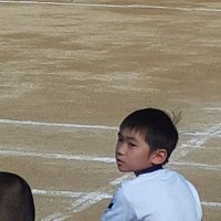 息子を救出したいパパ (@hayatesave521) 's Twitter Profile